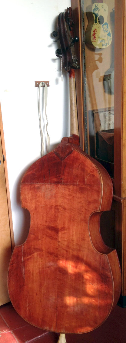 unlabelled Upright Bass (1900)