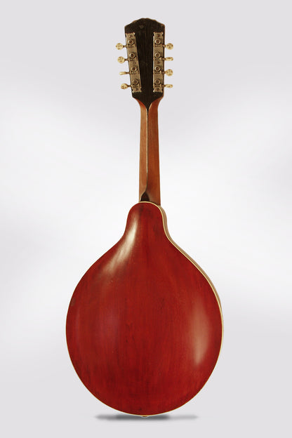 Gibson H-2 Carved Top Mandola (1913)