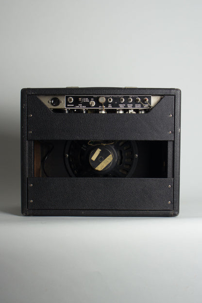 Fender Princeton Reverb Tube Amplifier (1964)