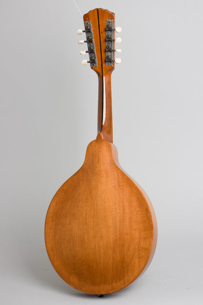 Gibson Style A-1 Carved Top Mandolin (1913)