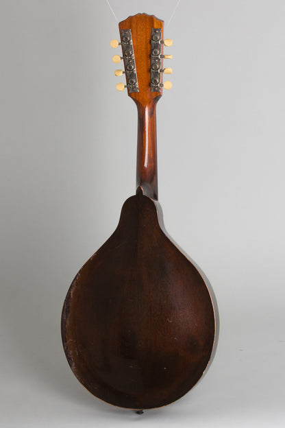 Gibson Style A Carved Top Mandolin (1920)