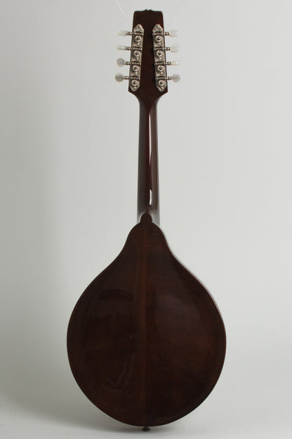 Flatiron Festival A Carved Top Mandolin (1993)
