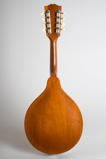 Gibson A-40N Carved Top Mandolin (1952)
