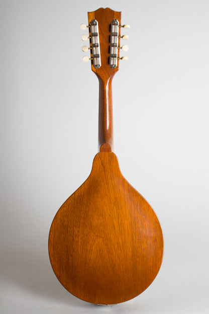 Gibson A-40N Carved Top Mandolin (1952)