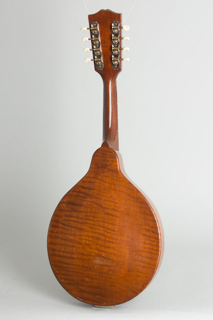 Kalamazoo KM-21 Arch Top Mandolin (1936)