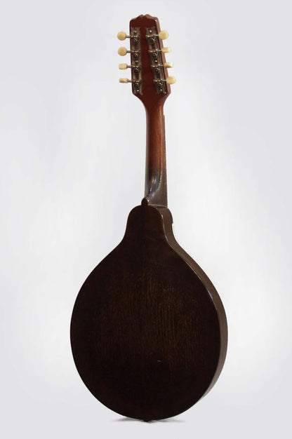 Gibson Style A-1 Snakehead Carved Top Mandolin (1924)