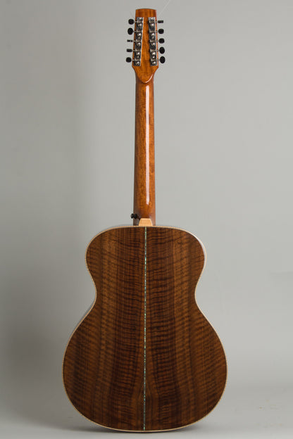 Circle Strings A-1 10 String Acoustic Flat Top Guitar (2018)