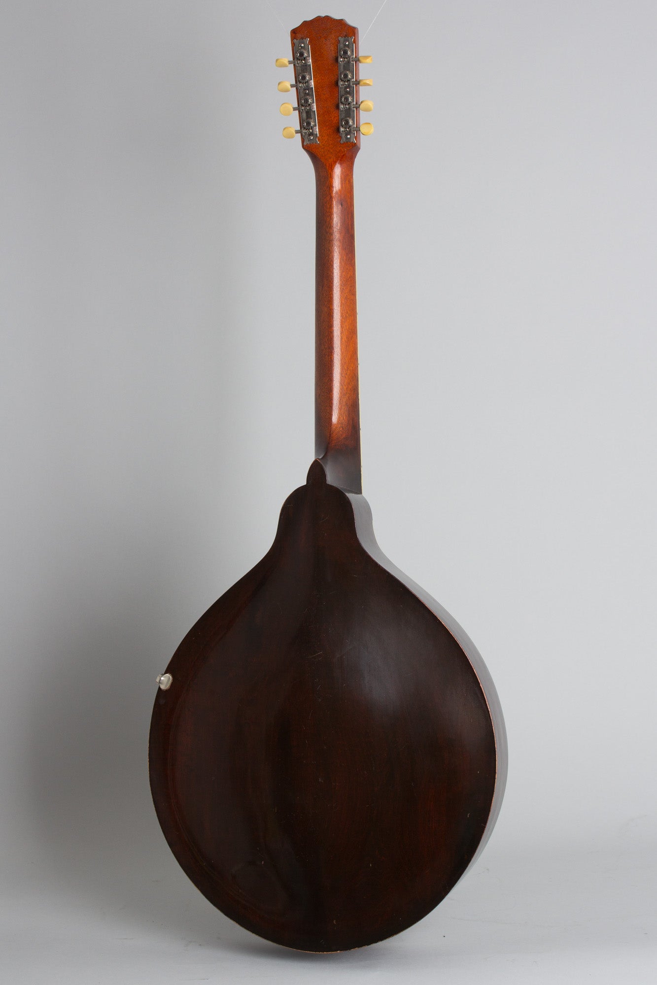 Gibson K-1 Carved Top Mandocello (1919)