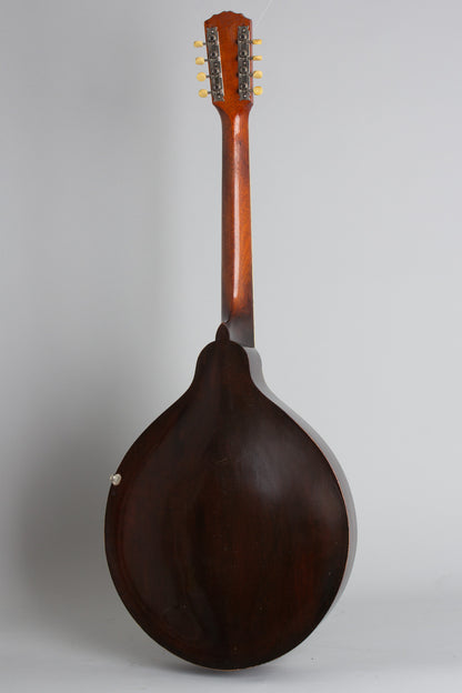Gibson K-1 Carved Top Mandocello (1919)