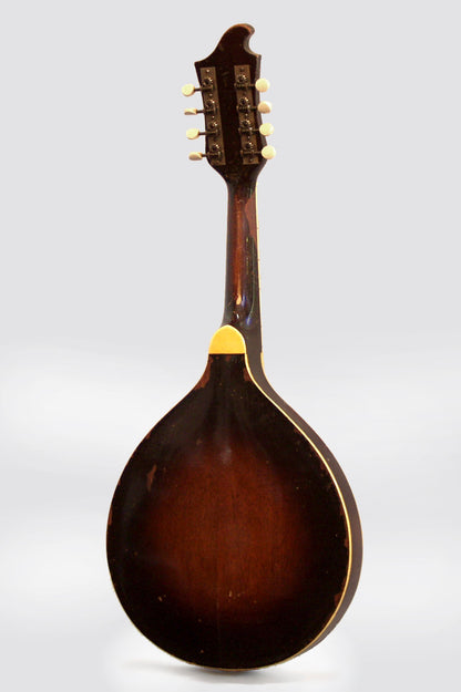 unlabelled Carved Top Mandolin (1920's)