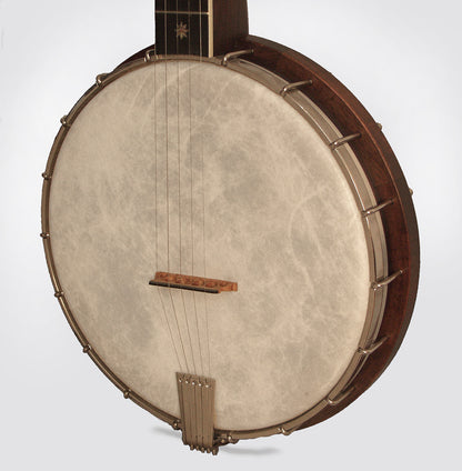 Ashborn Style Hybrid 5 String Banjo (1980's)