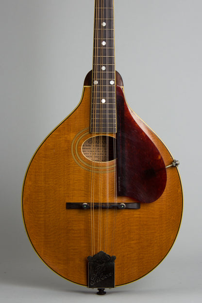 Gibson A-2 Snakehead Carved Top Mandolin (1923)