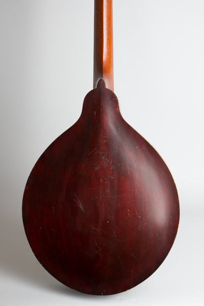 Gibson K-1 Carved Top Mandocello (1912)