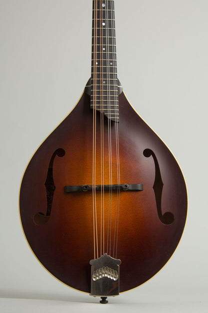 Collings MT Carved Top Mandolin (2013)
