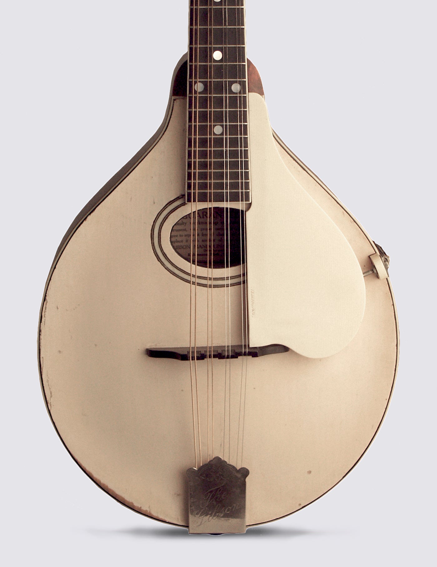 Gibson Model A-3 Carved Top Mandolin (1919)