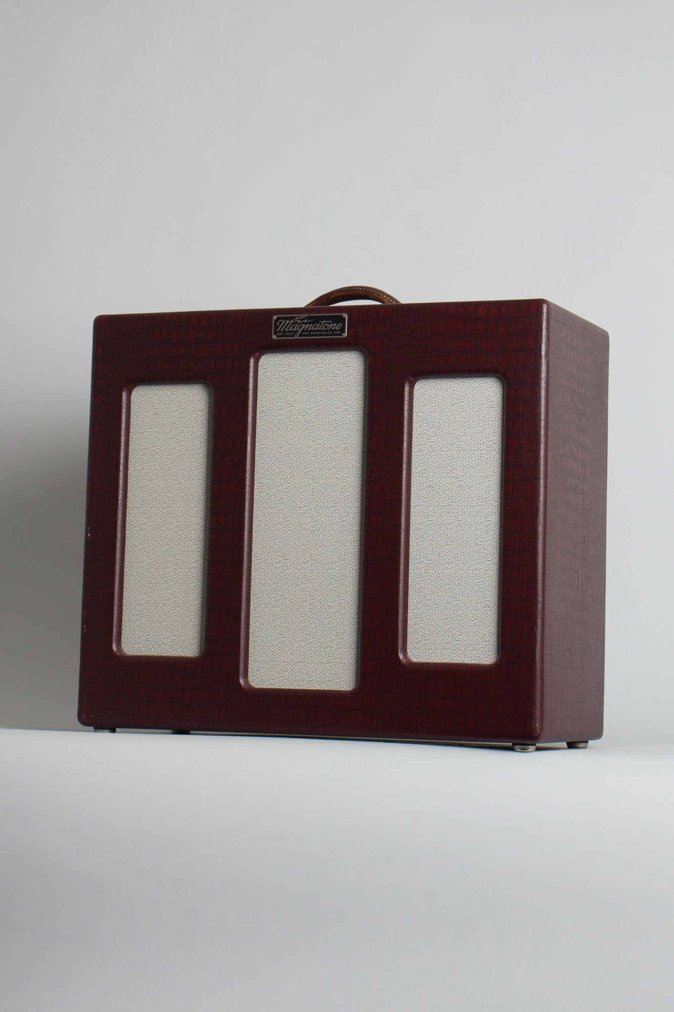 Magnatone Varsity Reverb Tube Amplifier (2013)