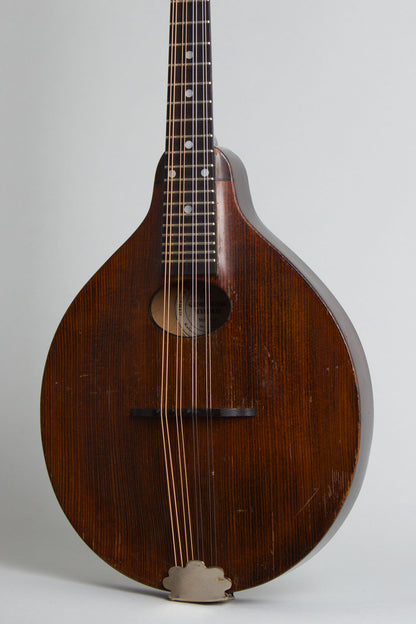 Gibson A-Junior Snakehead Carved Top Mandolin (1927)