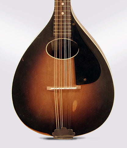 Harmony Supertone Arch Top Mandolin (1935)