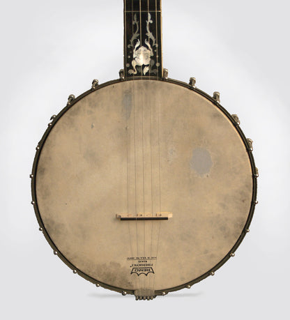 Alden Composite Orpheum Style 5 String Banjo (1990)