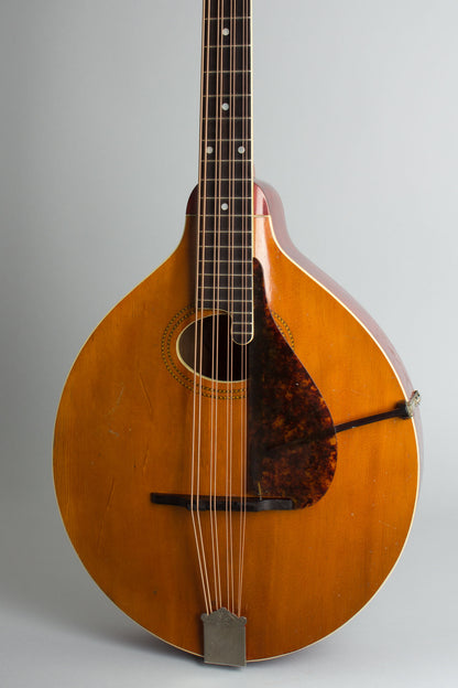 Gibson K-1 Carved Top Mandocello (1914)