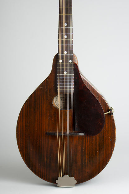 Gibson A-Junior Carved Top Mandolin (1921)