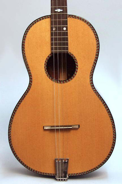 Regal Professional Flat Top Tenor Guitar (1929)