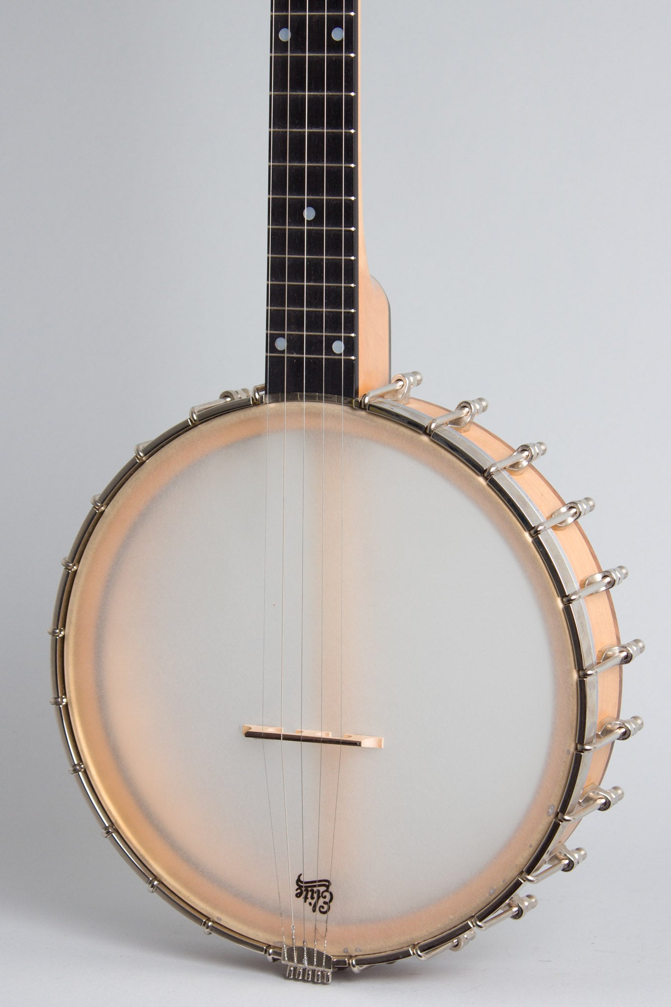 Bart Reiter Special 5 String Banjo (2017)