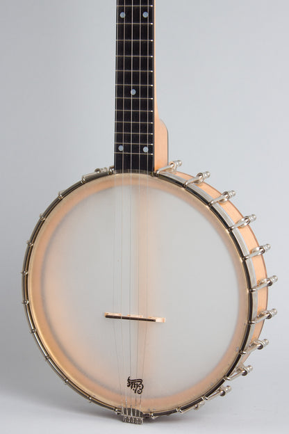 Bart Reiter Special 5 String Banjo (2017)