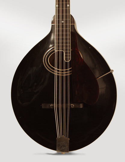 Gibson K-1 Carved Top Mandocello (1937)