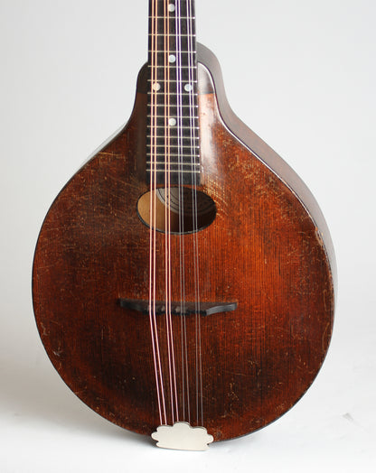 Gibson A-Junior Carved Top Mandolin (1930)