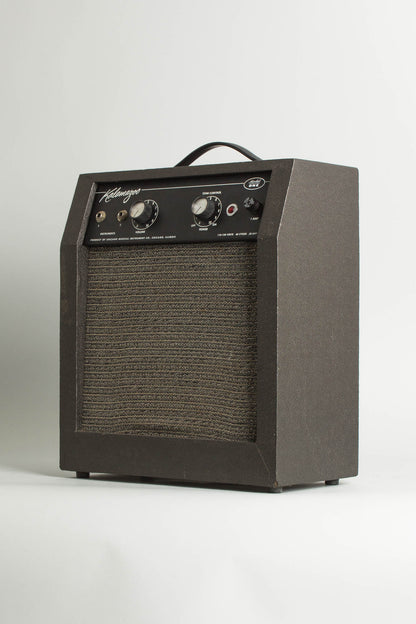 Kalamazoo Model One Tube Amplifier (1965)