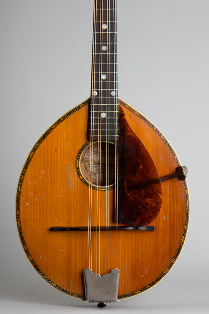Gibson Alrite Style D Flat Top Mandolin (1917)