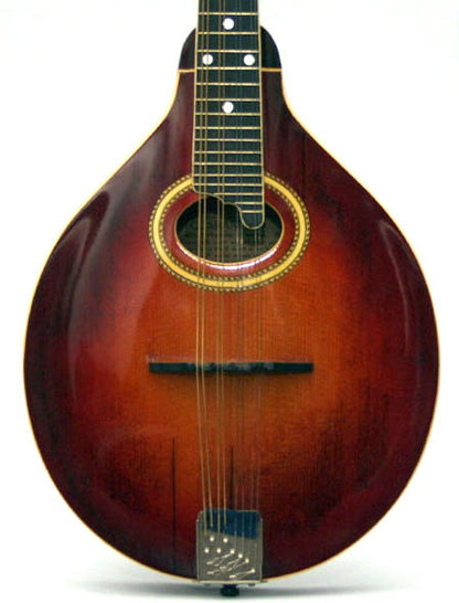 Gibson A-4 Carved Top Mandolin (1920)
