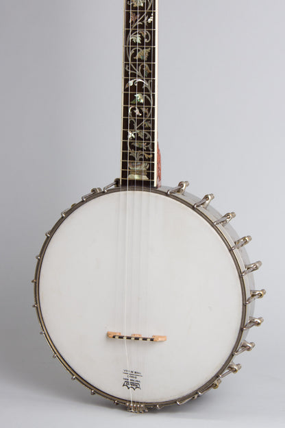 S. S. Stewart Unlabelled 5 String Banjo (1900)