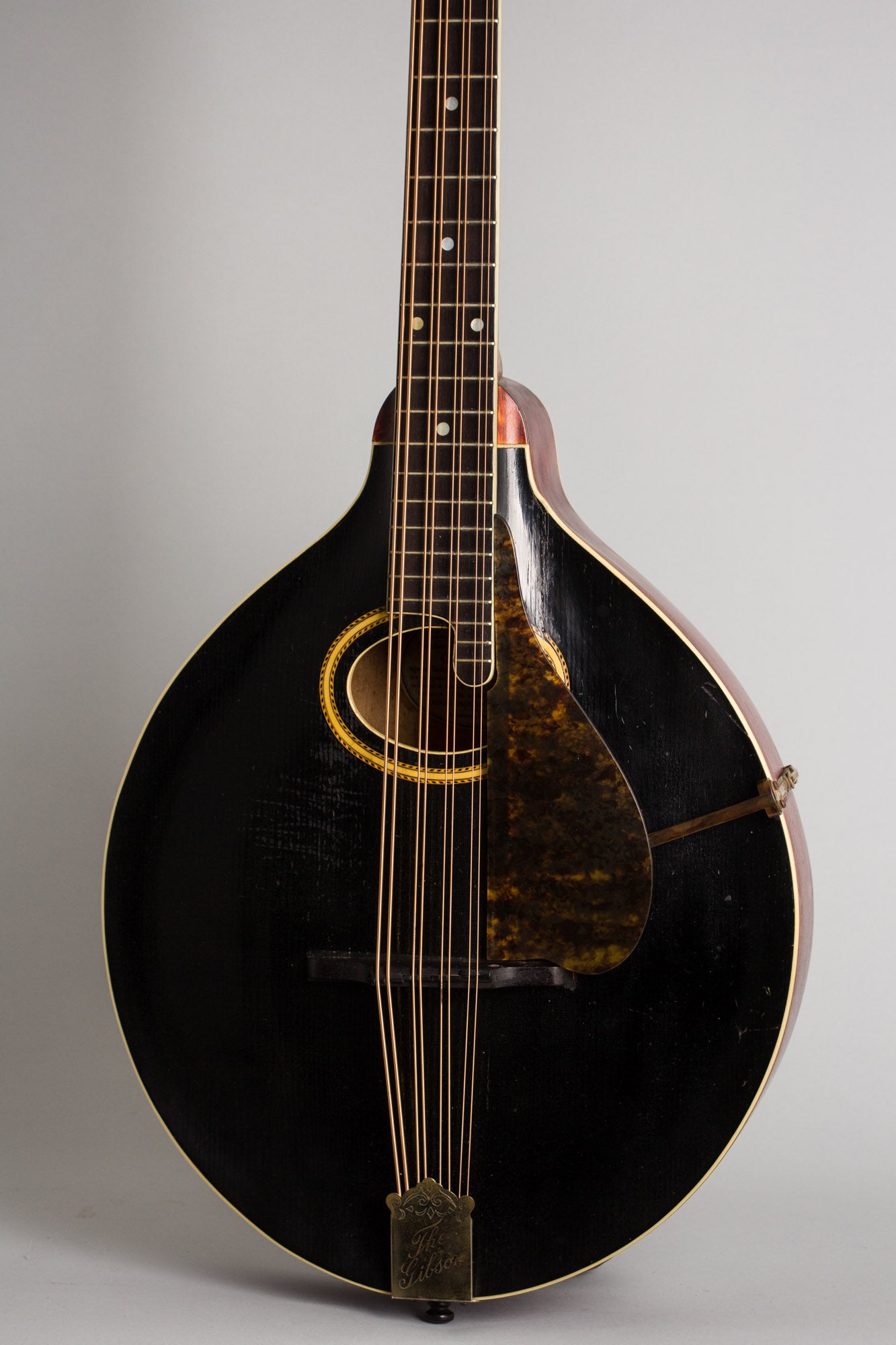 Gibson K-2 Carved Top Mandocello (1913)