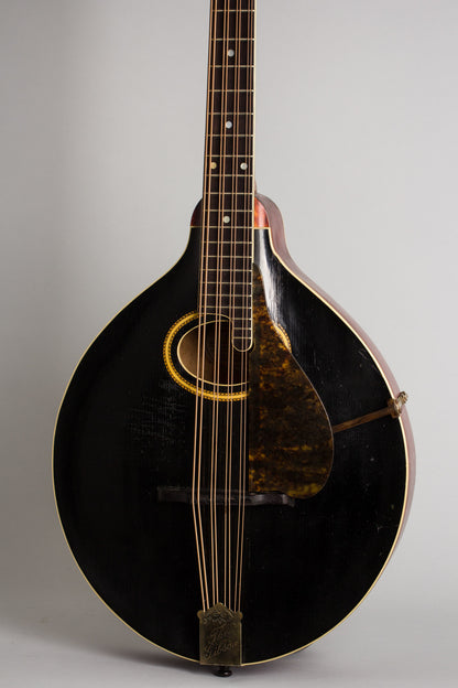 Gibson K-2 Carved Top Mandocello (1913)