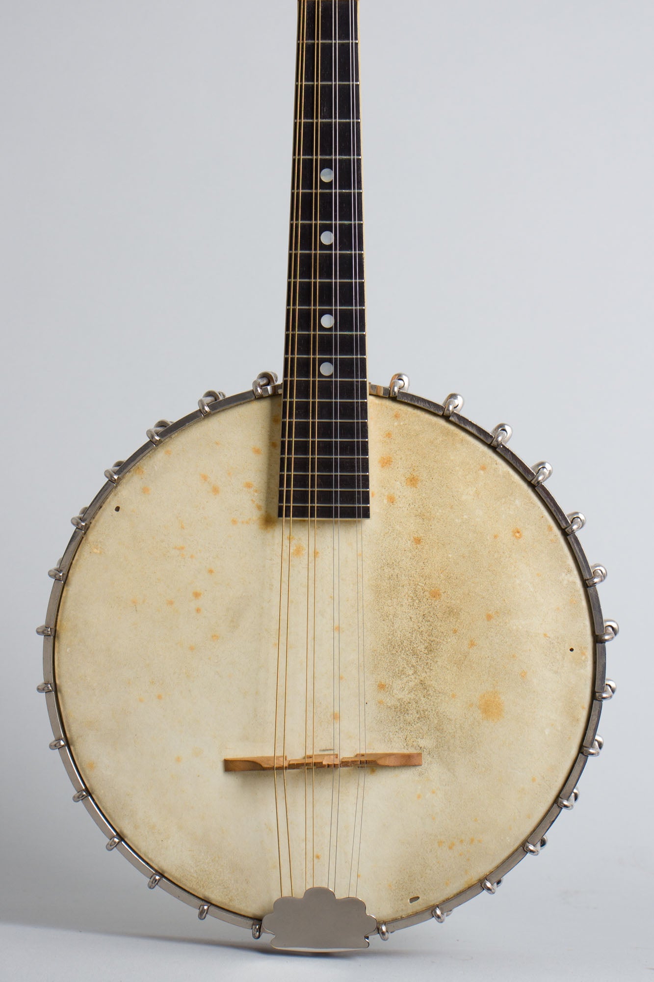 Vega Fairbanks Little Wonder Mandolin Banjo (1917)
