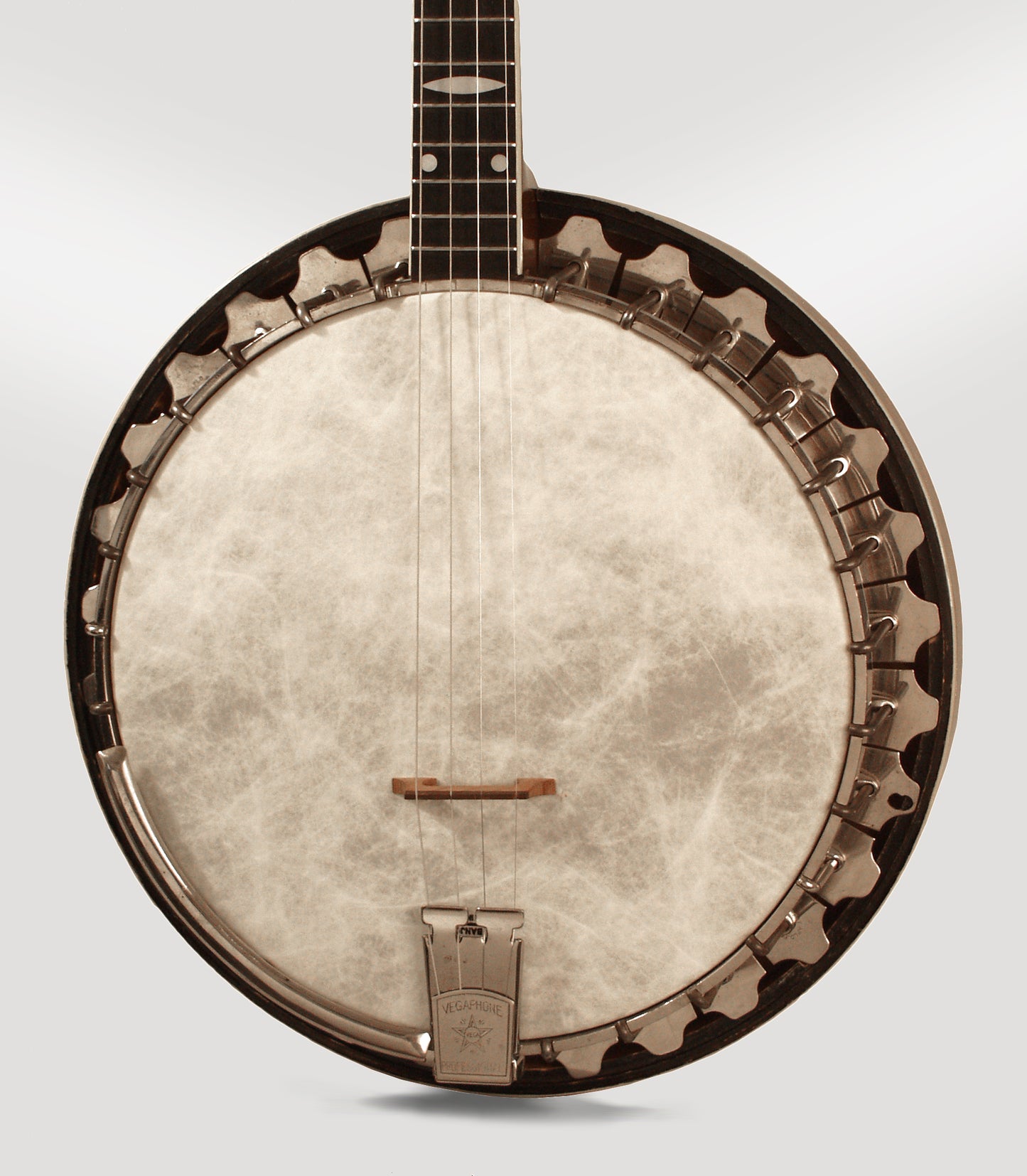 Vegaphone Professional Tenor Banjo (1930)