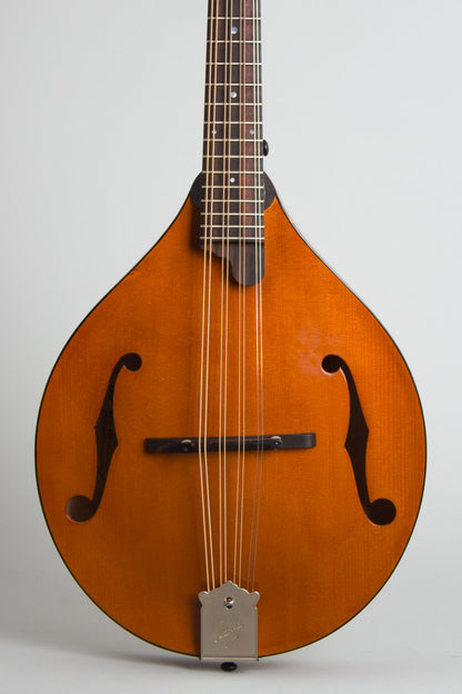 Northfield NFM-M4 Carved Top Mandola (2023)