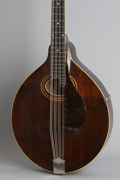 Gibson K-1 Carved Top Mandocello (1919)