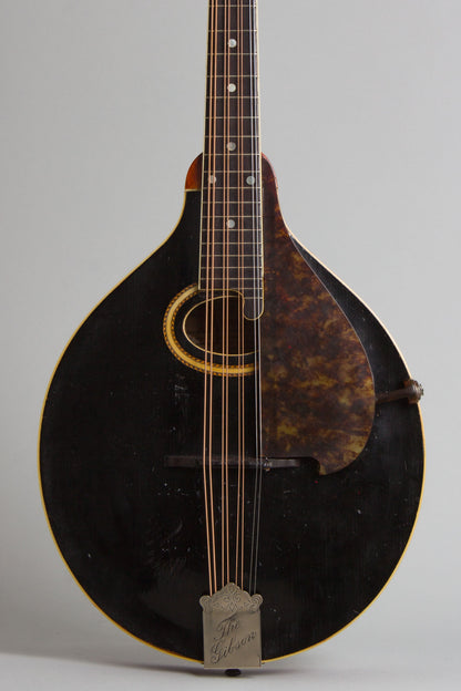 Gibson H-2 Carved Top Mandola (1913)