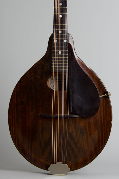 Gibson A-Junior Snakehead Carved Top Mandolin (1925)