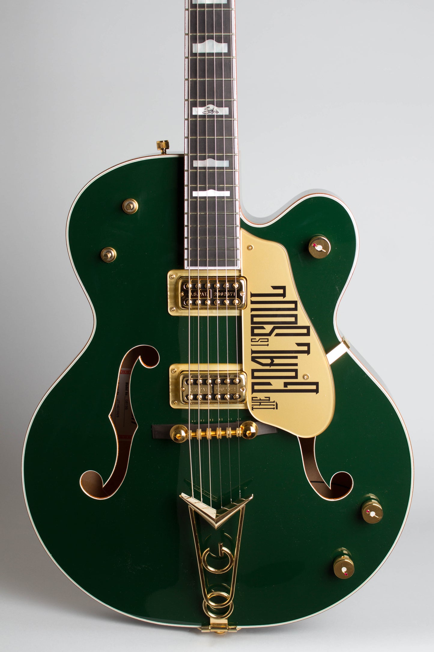 Gretsch G-6136I Irish Falcon Arch Top Hollow Body Electric Guitar (2014)