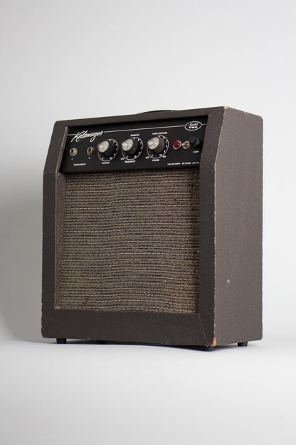 Kalamazoo Model Two Tube Amplifier (1965)