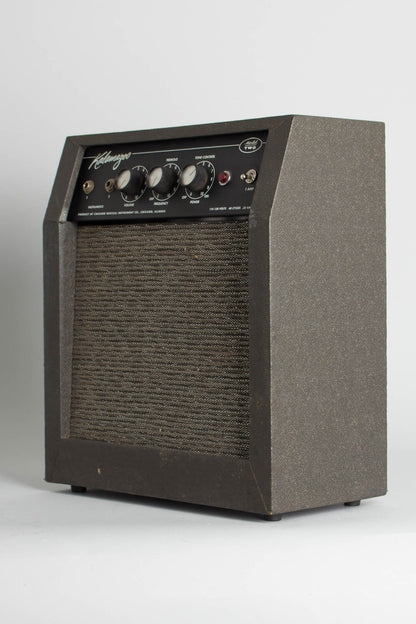 Kalamazoo Model Two Tube Amplifier (1966)