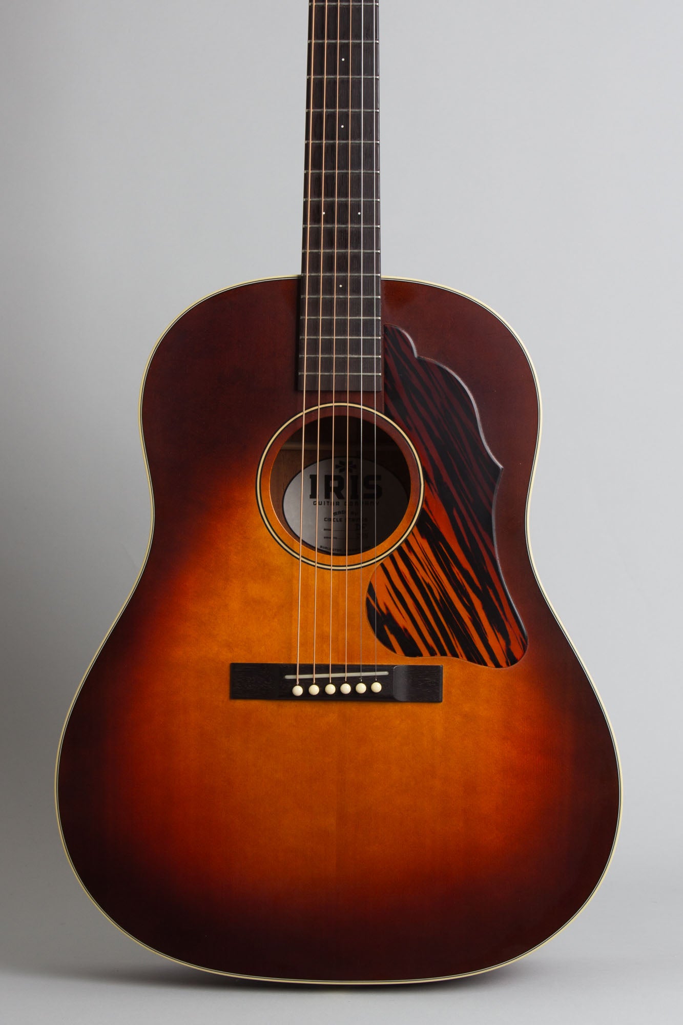 Iris DF Flat Top Acoustic Guitar
