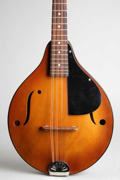 Stradolin Model 420 Arch Top Mandolin (1950)