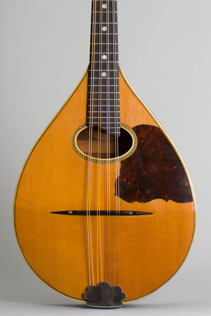 Vega Model 201 Flat Back, Bent Top Mandolin (1930)