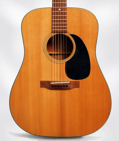 C. F. Martin D-18 Flat Top Acoustic Guitar (1974)