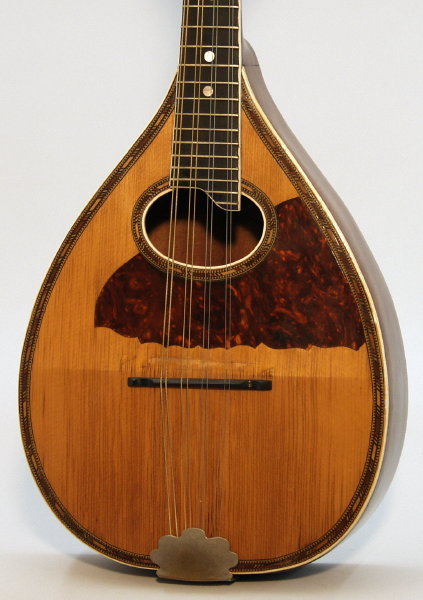 Harmony Flat Back Mandolin (1925)